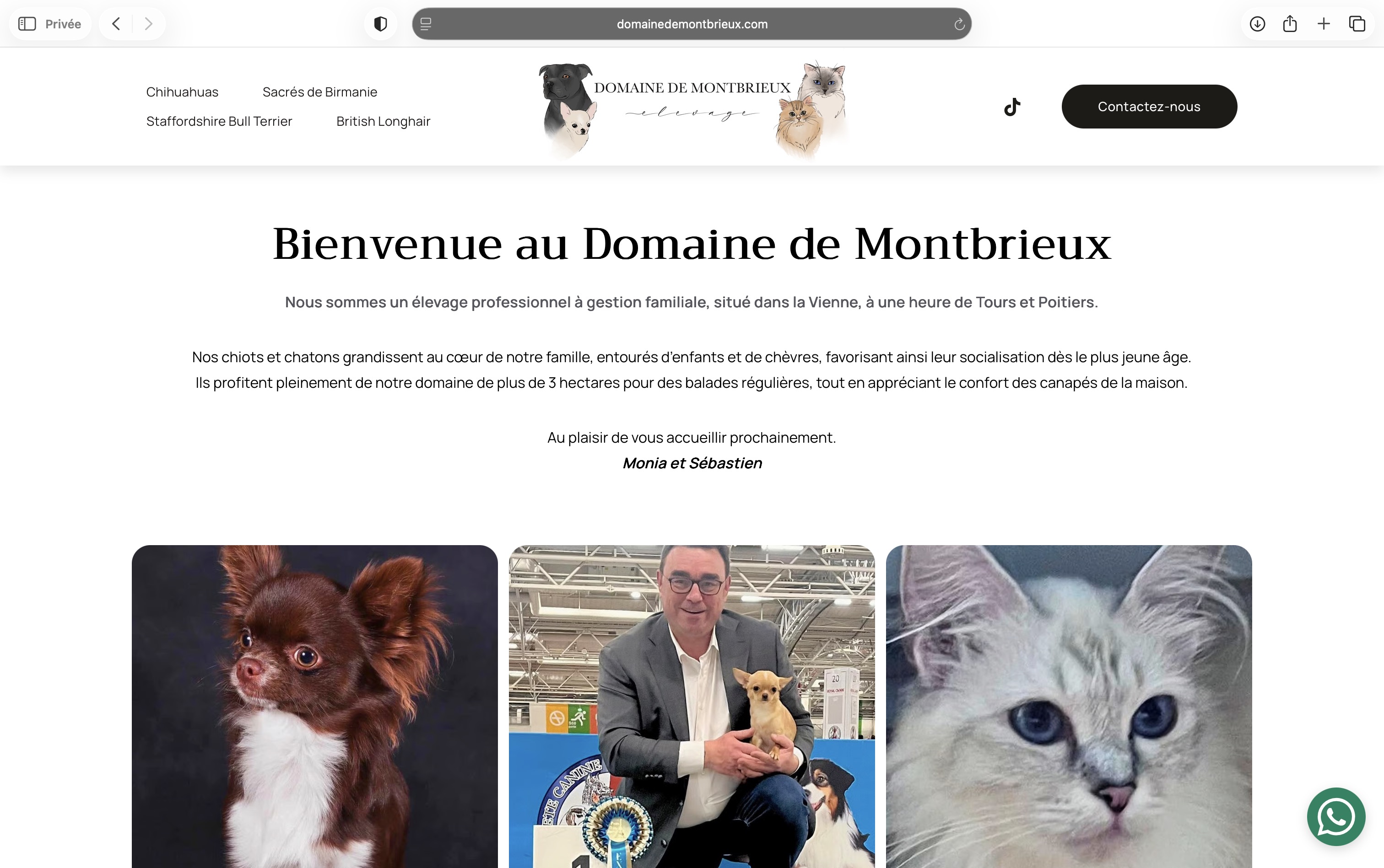 Aperçu du projet : Domaine de Montbrieux